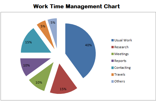 Life Balance Pie Chart