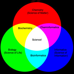 Visual Learning Styles To Enhance Your Learning